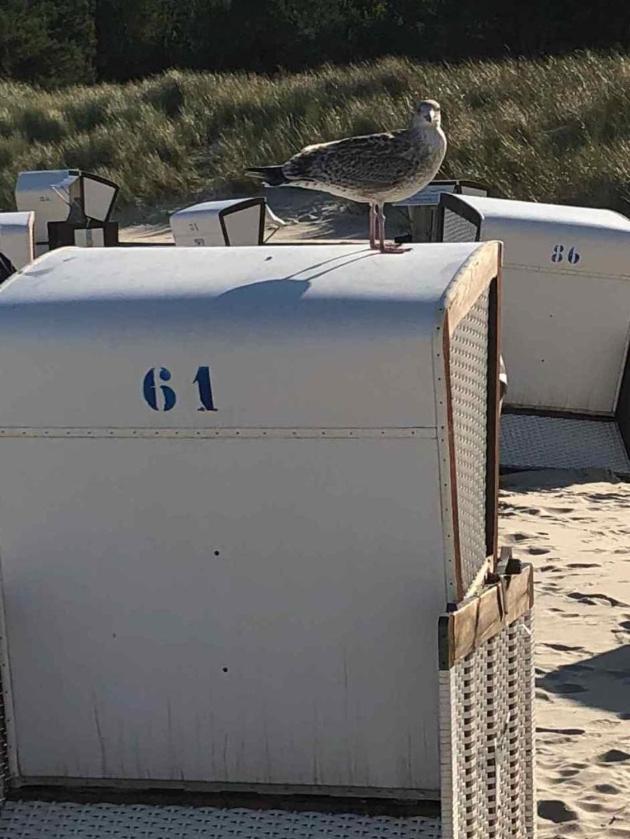 Koserow Am Strande Bagian luar foto